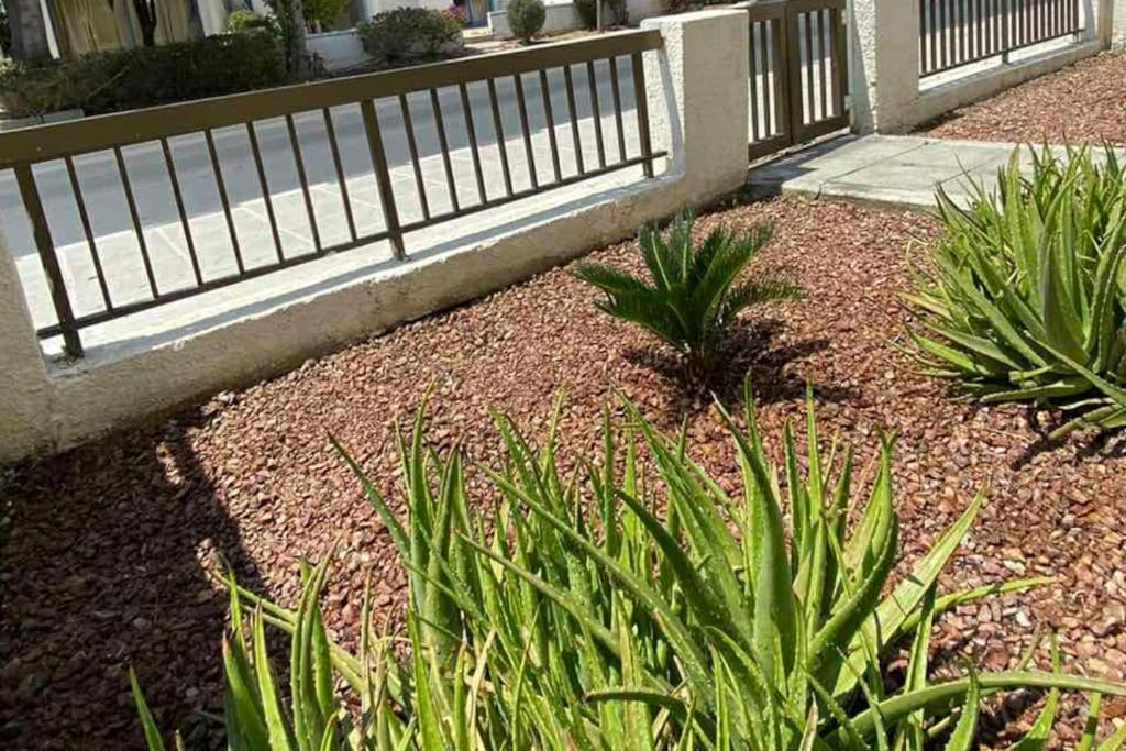 Dalia 9 Apartamento Pafos Exterior foto